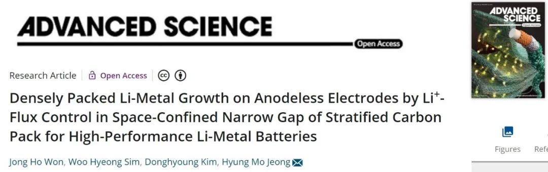Advanced Science：控制锂离子通量获得高性能锂金属电池