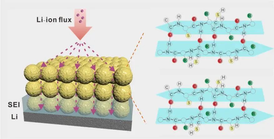 ​徐志伟/石海婷ACS Nano: 通过淀粉样蛋白聚集体调节锂金属电池界面力学