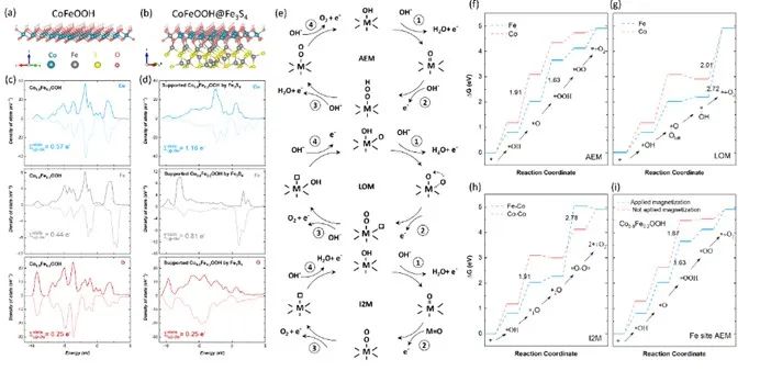 南科大/南洋理工​AM：硫尖晶石重构水氧化活性位点和自旋通道的研究