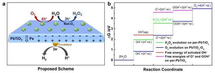 ​金属所刘岗JACS：氧空位加上铁电极化，促进PbTiO3光催化全水分解