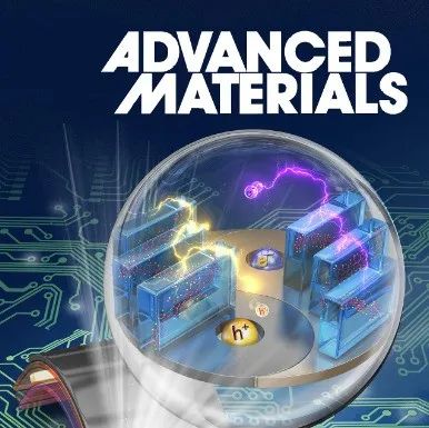 ​余彦/芮先宏/姚雨AM：单原子钒催化剂促进钠硫电池中多硫化物的反应动力学