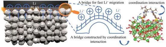 哈工大AFM：低阻抗固态电池电解质与界面层之间的快速Li+转移桥