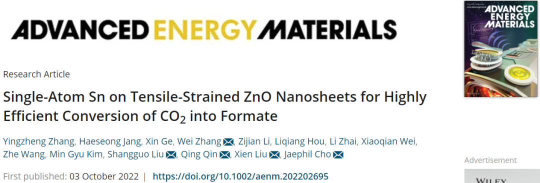 ​三单位联合AEM：Sn SA/ZnO高效转化CO2为甲酸盐