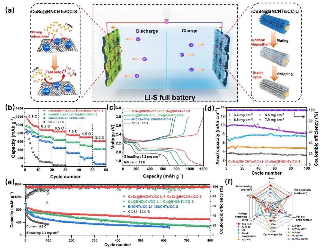 ​王旭珍ACS Nano：基于双功能宿主的高性能锂硫全电池！