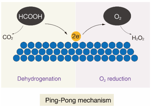 ​应化所董绍俊Angew：Pt-Au合金催化甲酸有氧氧化用于H2O2合成