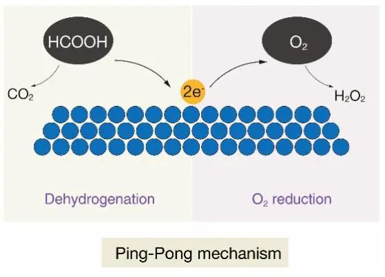 ​应化所Angew：Pt-Au合金催化甲酸氧化制过氧化氢