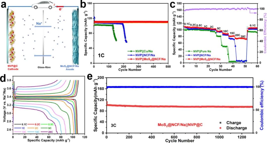 李秋红EnSM：亲钠MoS2修饰的碳纳米纤维，实现8000次稳定Na沉积