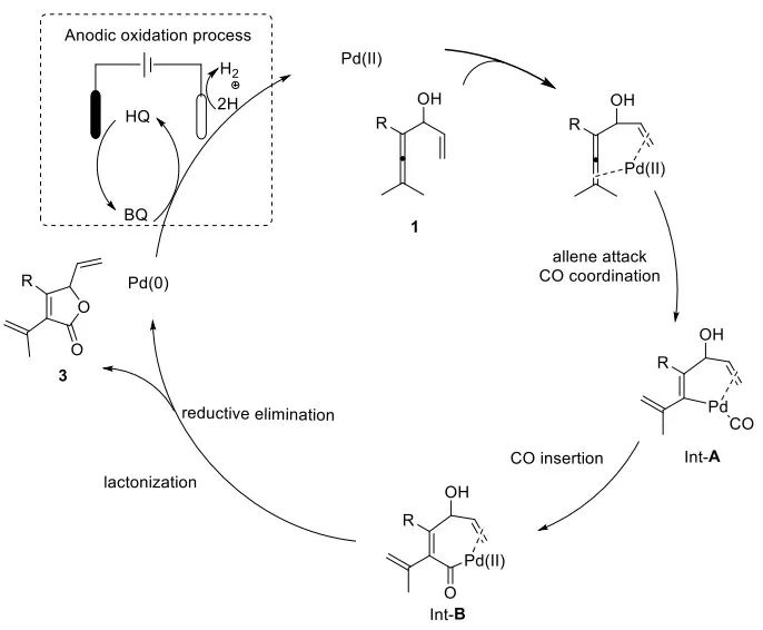 Angew：电化学钯催化烯醇的氧化羰基化-环化作用