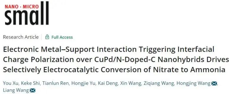 ​浙工大Small: EMSI触发CuPd/CN上的界面电荷极化，促进NO3-选择性转化为NH3
