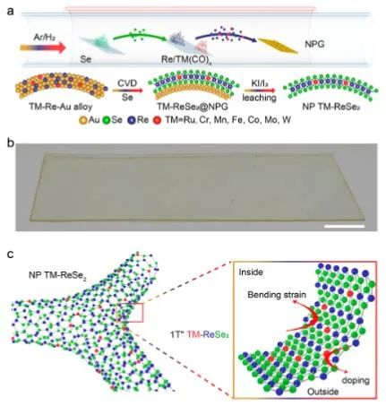 湖大谭勇文​Nano Letters: 表面钴合金策略起大作用，实现纳米多孔1T ReSe2与TM可扩展原位掺杂
