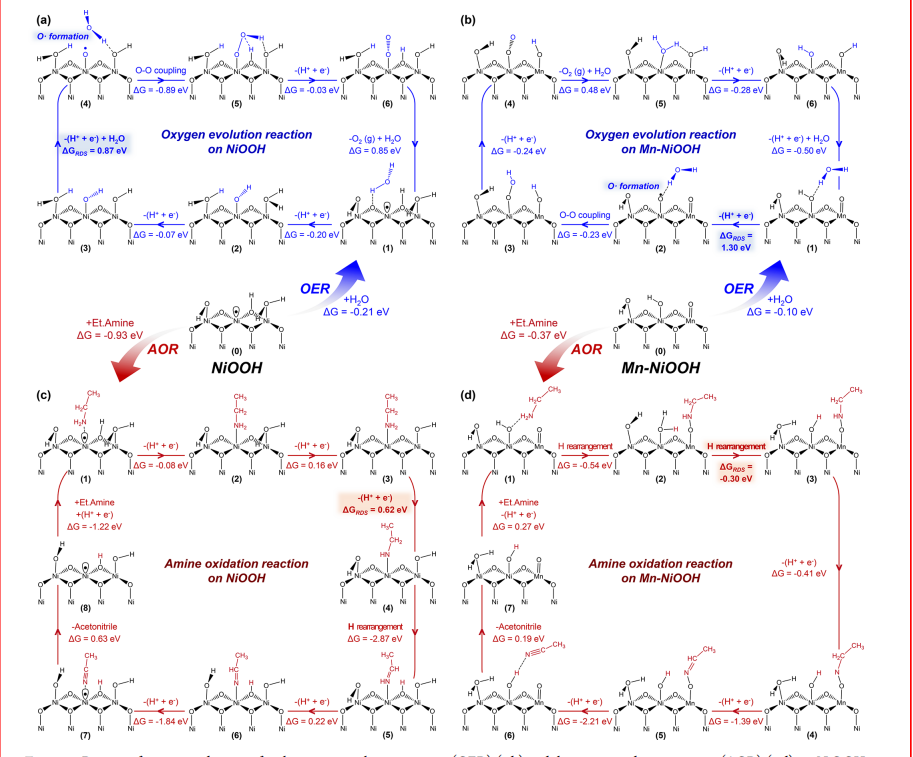 南大丁梦宁等JACS：金属掺杂的α-Ni(OH)2的水氧化实现胺的高选择性电催化氧化制腈