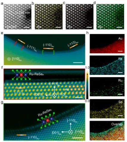 湖大谭勇文​Nano Letters: 表面钴合金策略起大作用，实现纳米多孔1T ReSe2与TM可扩展原位掺杂