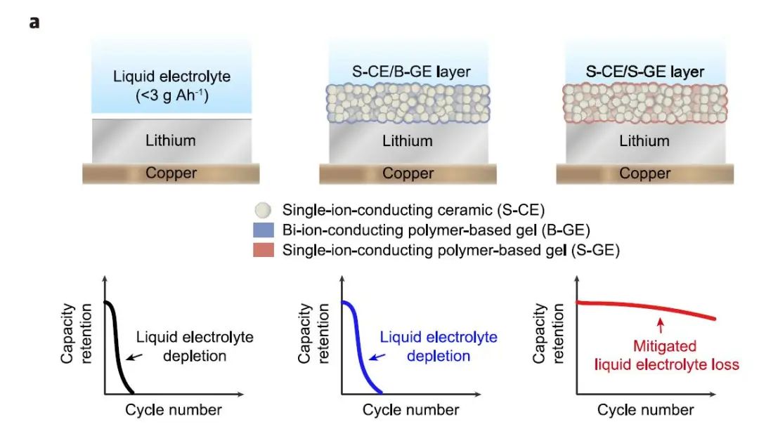 Nature子刊：弱配位锂离子在单离子导体基复合低电解液锂金属电池中的应用