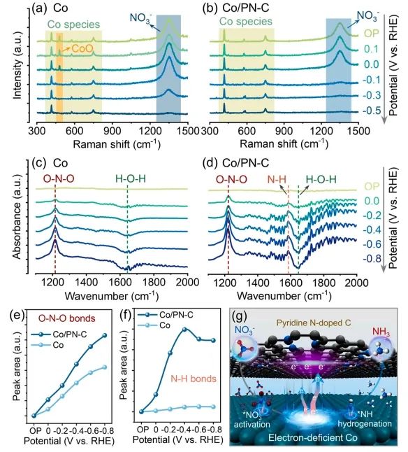 中南Nano Energy：缺电子Co纳米晶立大功，有效促进NO3−电还原为NH3