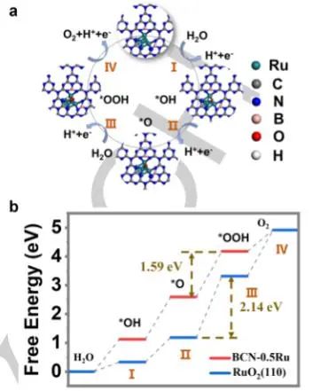 李辉/徐少轶Angew.：BCN负载低含量Ru团簇，实现高效稳定催化酸性OER