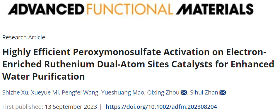 南开大学展思辉/周启星AFM：新型电催化剂高效活化PMS提高净水性能