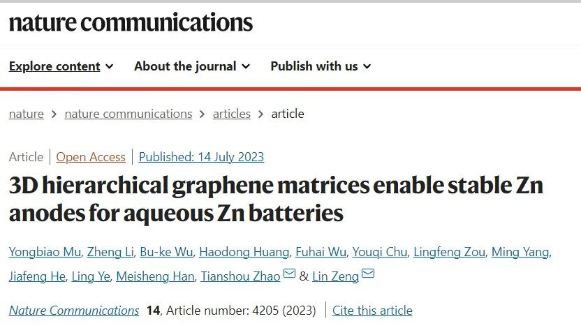 赵天寿院士团队最新Nature子刊！锌离子电池-锌阳极-三维分层结构