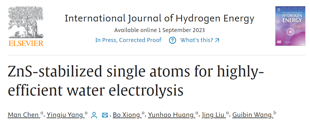【纯计算】杨应举团队：密度泛函理论计算ZnS稳定的单原子用于高效水电解！