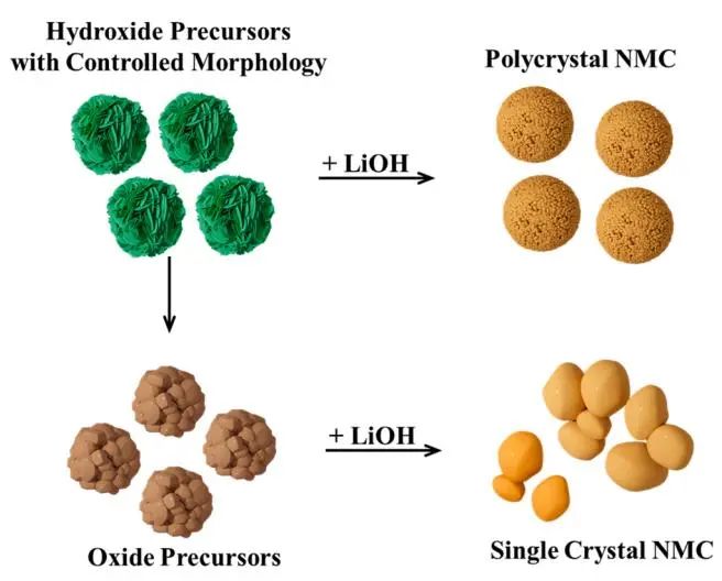 ​肖杰EnSM：通过先进锂离子电池的纳米级相分离实现富镍正极的单晶生长和偏析