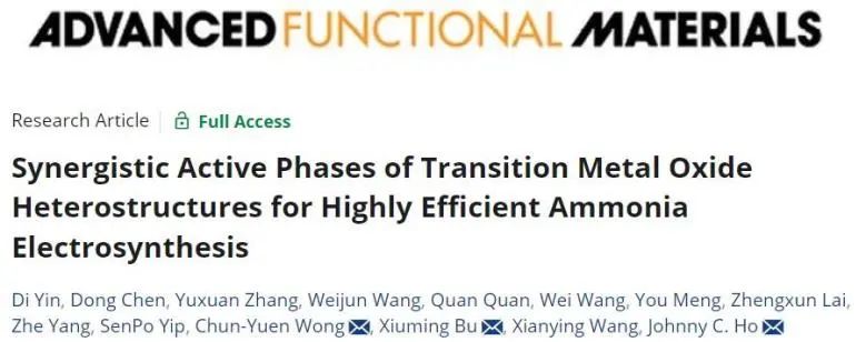 ​港城大/上硅所AFM：过渡金属氧化物异质结协同活性相，实现高效电催化NO3−转化为氨