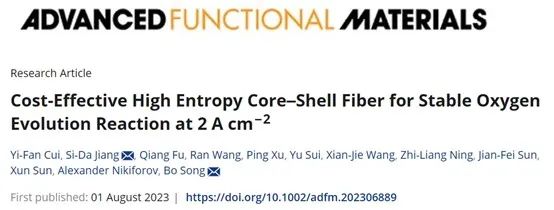 ​哈工大AFM：具有成本效益的高熵核壳纤维实现大电流密度析氧