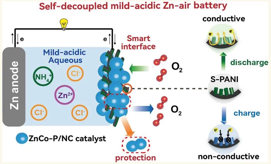 ​ACS Nano：自解耦氧电催化过程用于弱酸性可充金属锌-空气电池
