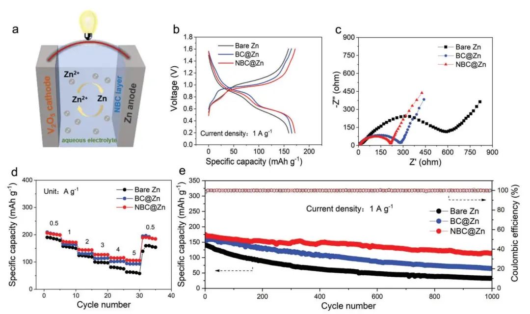 陶新永团队Small：氨基功能化界面层实现超均匀非晶固体电解质界面助力高性能锌电池