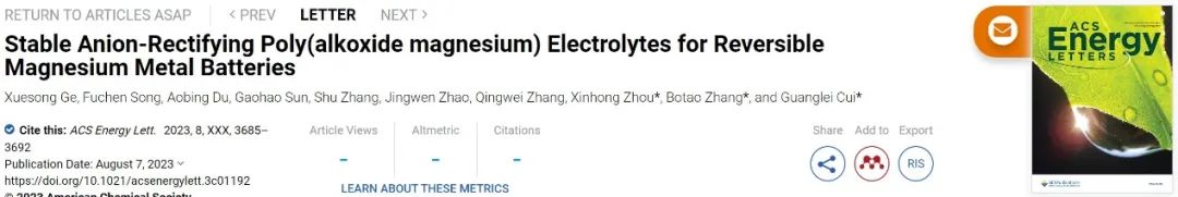 崔光磊/张波涛/周新红ACS Energy Lett.：阴离子整流聚合物电解质助力高可逆镁金属电池