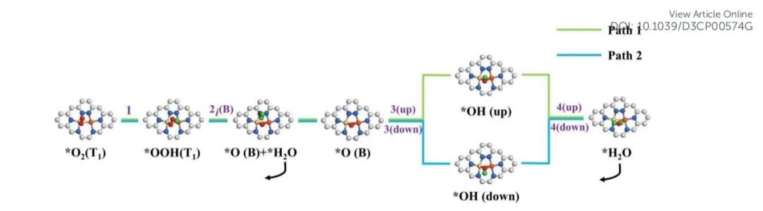 PCCP：第一性原理研究NiPd共掺杂氮配位石墨烯作为氧还原反应高效电催化剂