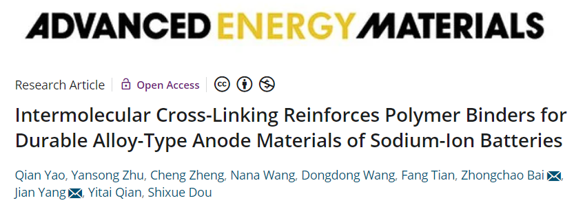 杨剑/柏中朝AEM: 分子交联增强聚合物粘结剂用于钠离子电池的合金负极