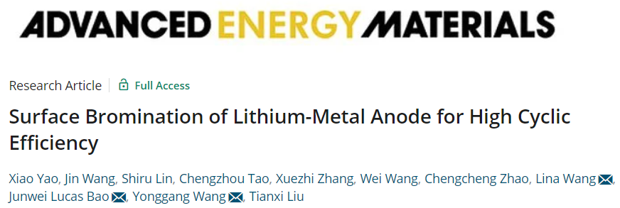 ​王永刚/王丽娜等AEM：锂金属负极的表面溴化实现高循环效率