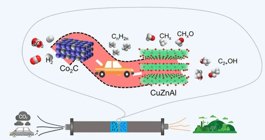 孙予罕/王慧ACS Catalysis：揭示和调控多功能串联催化剂上CO2加氢制高级醇的复杂反应机理