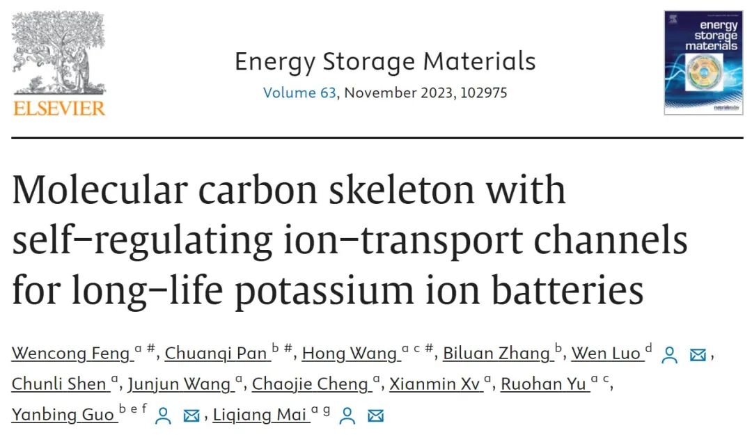 ​麦立强/郭彦炳EnSM：具有自调节离子传输通道的分子碳骨架用于长寿命钾离子电池
