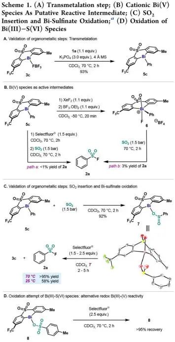 JACS：金属铋（Bi）解锁新玩法-揭示有机金属催化合成芳基氟磺酰化物的基元步骤