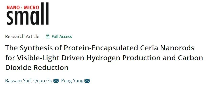 杨鹏/顾泉Small: 绿色又简单，蛋白质包封CeO2纳米棒用于光催化HER和CO2RR