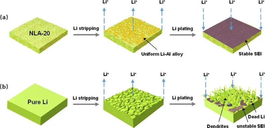 王成新/雷丹妮EnSM：原位形成纳米锂铝合金负极实现高能锂金属电池！