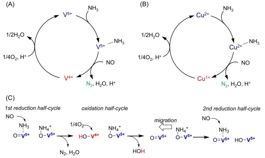ACS Catal.: 钒氧化物和铜沸石催化剂上的类似NH3-SCR机制