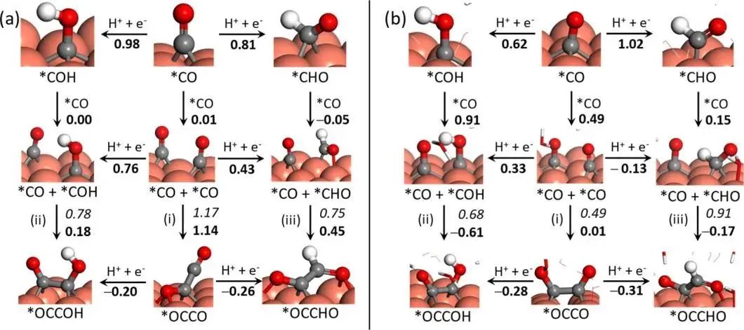 ACS Catalysis：电化学CO2还原为乙烯和乙醇的综合机理：水-Cu(100)界面模型的溶剂效应