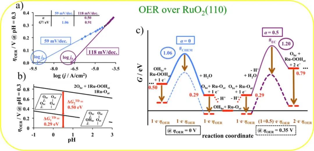 ACS Catalysis：用于酸性水分解的平面单晶氧化物模型电极(RuO2, IrO2)的基础研究