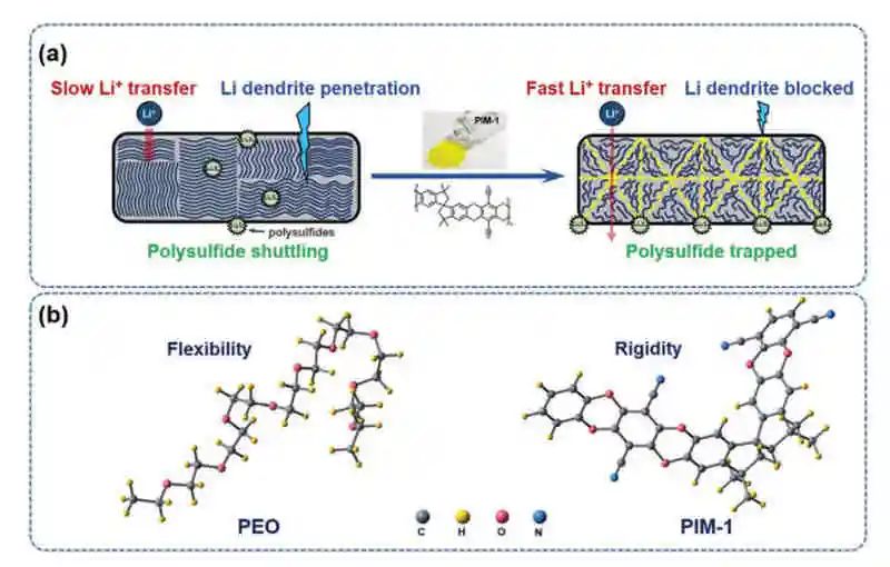 潘锋/杨卢奕/刘新华最新AFM：PIM-1用于实现高性能固态锂硫电池
