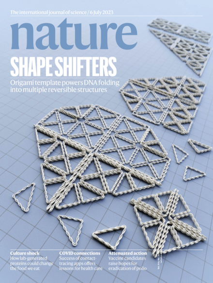 “折纸”折出一篇Nature，顺便再上个封面！