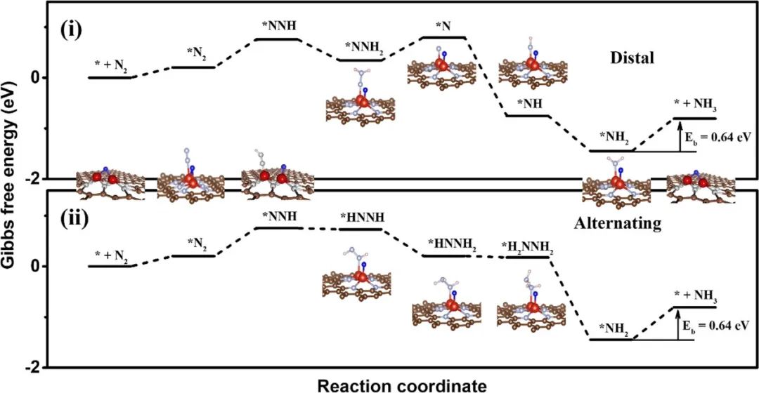 ​ACS Nano：氧桥联钒单原子二聚体催化剂提高电合成氨的法拉第效率