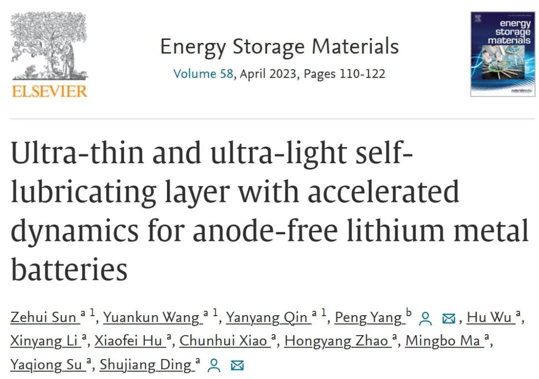 丁书江/杨鹏EnSM：用于无负极锂金属电池的具有加速动力学的超薄超轻自润滑层