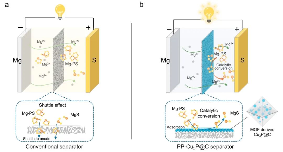 上交努丽燕娜ACS Nano：通过磷化铜改性隔膜实现高性能Mg-S电池