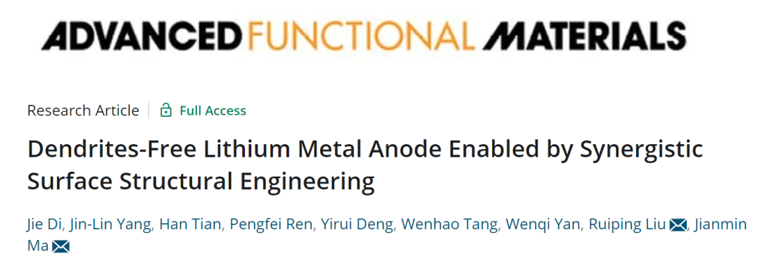 马建民/刘瑞平AFM: 表面/结构协同工程实现无枝晶锂金属负极