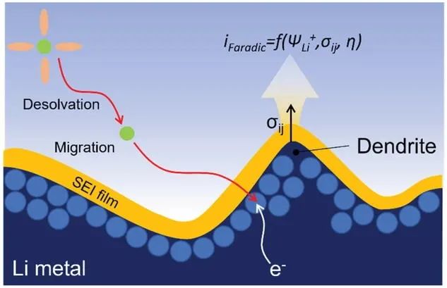 查尔姆斯理工大学AEM: 人工SEI的物理性质与锂沉积之间的相关性研究