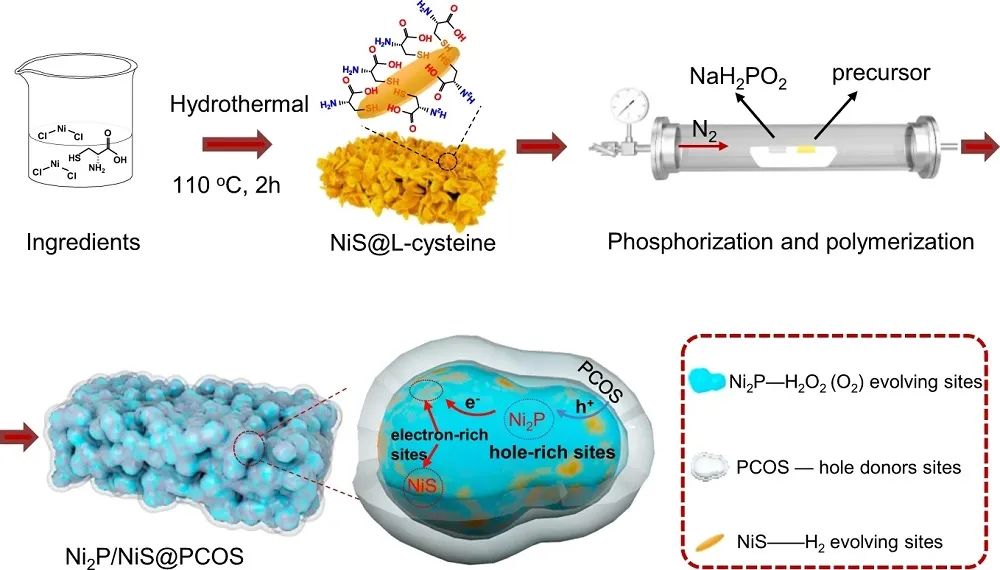 杨贵东Nature子刊：Ni2P/NiS@PCOS实现高效光催化整体水分解