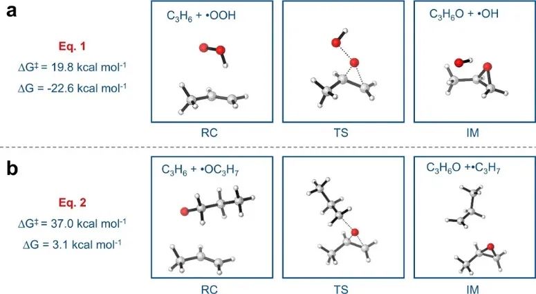 大连理工陆安慧教授Nature子刊：h-BN上原位生成烯烃辅助烷烃的自动加速脱氢