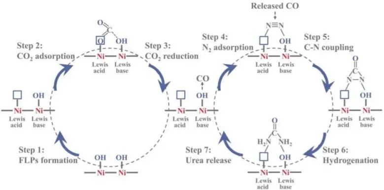 过程所张光晋EES: 受阻Lewis酸碱对助力高选择性电催化N2和CO2转化为尿素