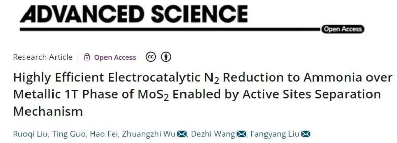 中南刘芳洋、王德志、吴壮志Adv. Sci.：角度新奇，活性位点分离策略阐明1T-MoS2上NRR机制
